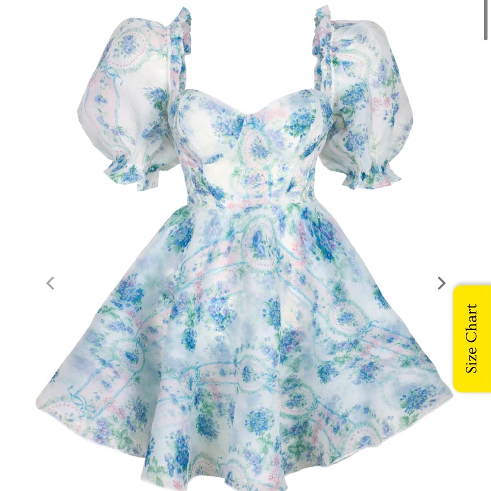 Selkie La Belle Etoile Parliament Dress